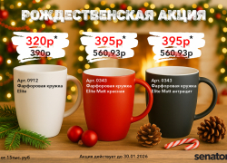 Рождественская акция за заказ от 15 тыс. рублей